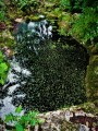 DSC00123 (3)